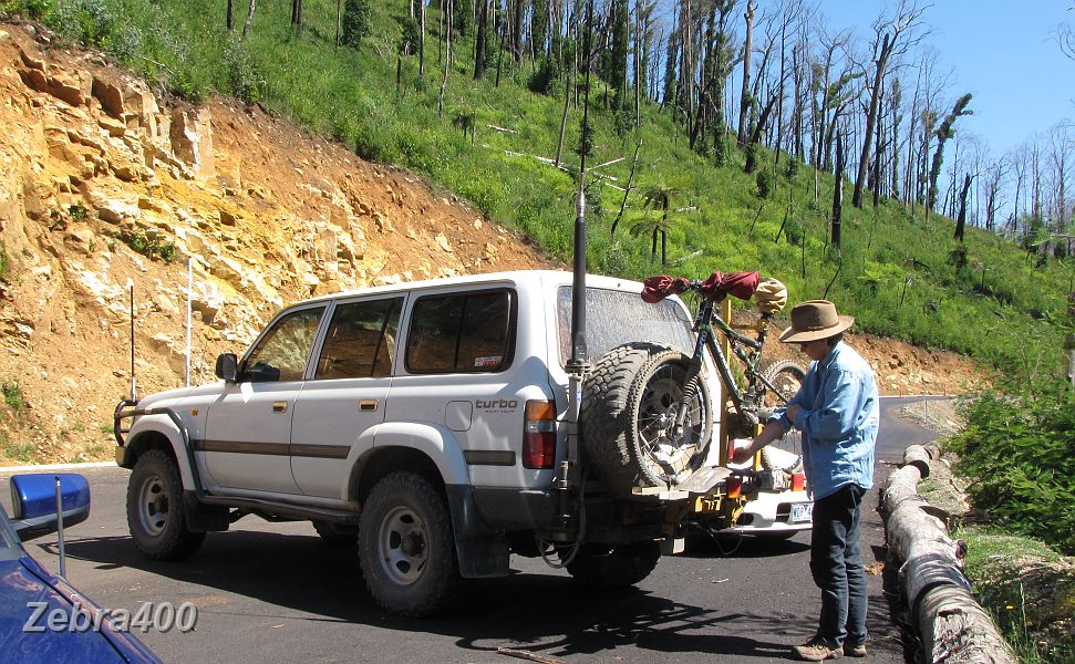 15-Steavenson Falls car park has new vegetation where leafy trees once stood.JPG